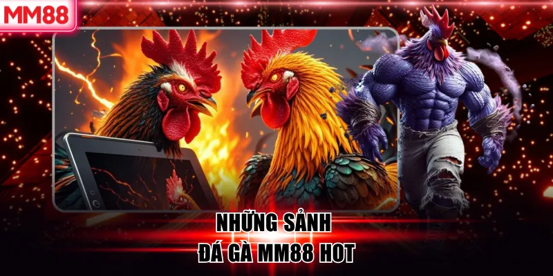 Đá Gà MM88 – Đấu Trường Cược Gà Trực Tuyến Đẳng Cấp Châu Á 6 Những sảnh đá gà MM88 hot